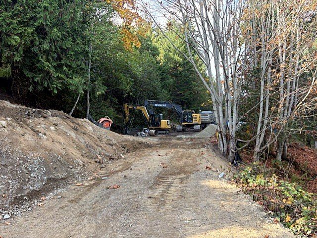 Excavators clearing a new road corridor through forest